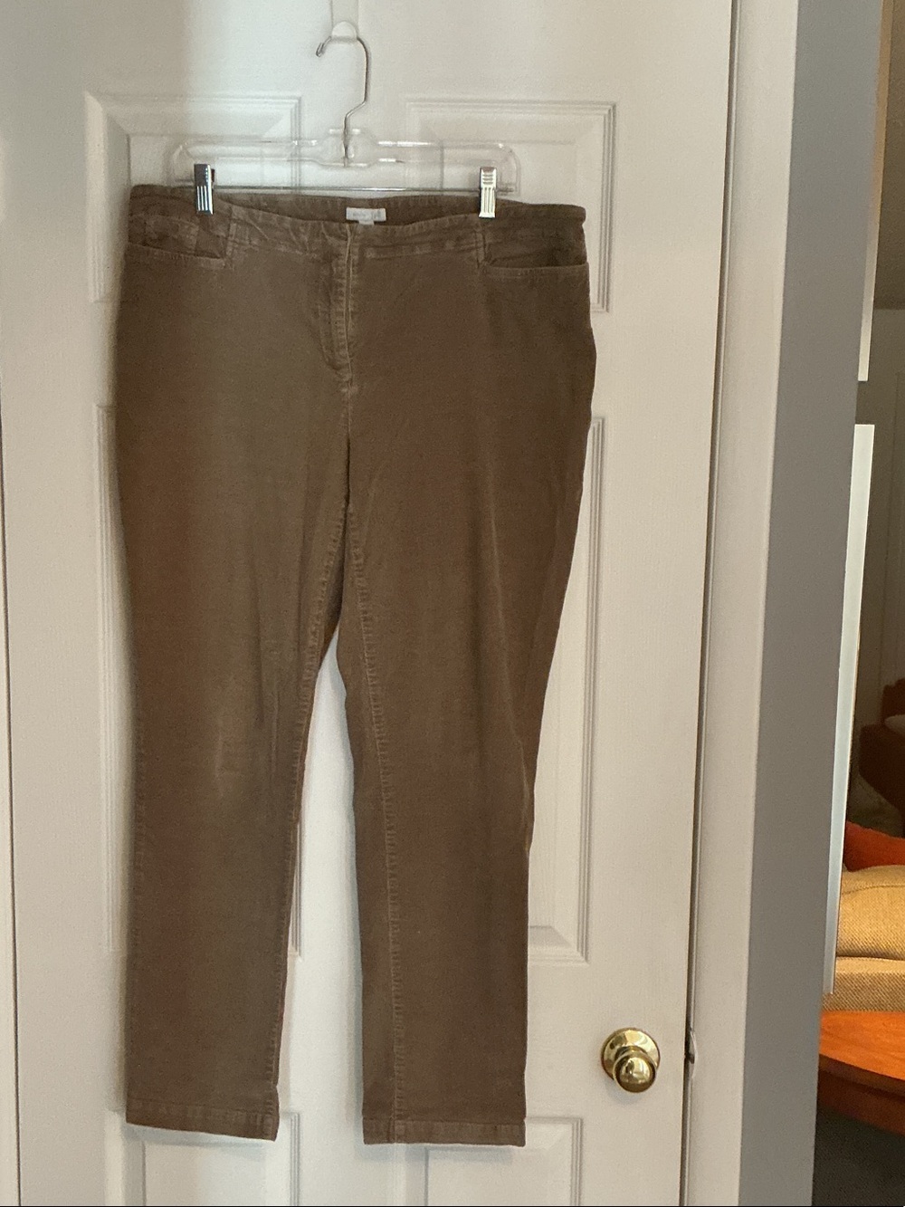 J. Jill Women’s Skinny Jeans in Tan